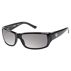 Harley Davidson sun glasses